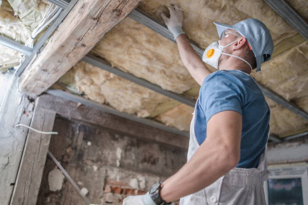Best Crawl Space Insulation  in Pleasant Grove, UT